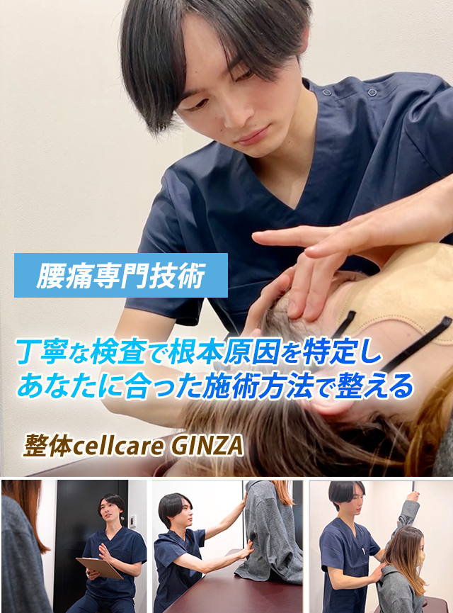 腰痛専門技術